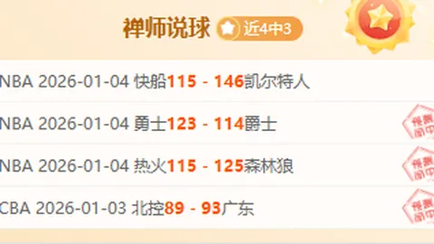 斯图加特迎战霍芬海姆第9轮德甲赛事