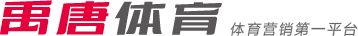 而是整体战